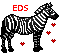 EDS Zebras Rule
