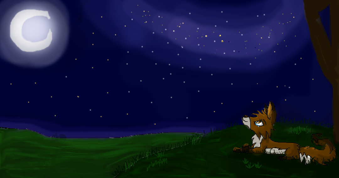 My memories of the night by dania77 on DeviantArt