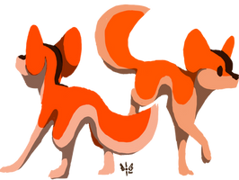 Foxes