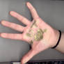 Love Inscribed Hand