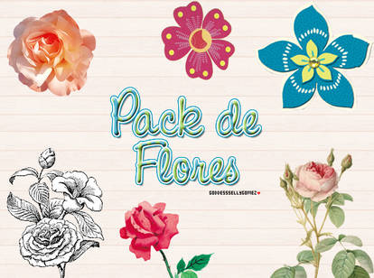 Pack de Flores png