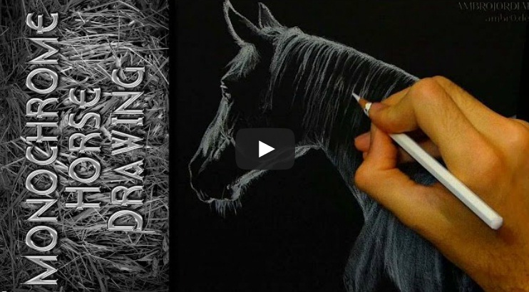 Monochrome Horse - Timelapse