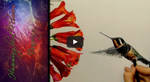 Hummingbird Flower - Timelapse by AmBr0