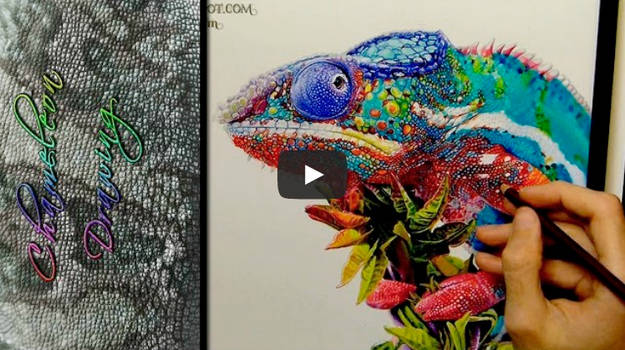 Chameleon - Timelapse