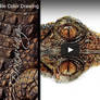 Crocodile Timelapse