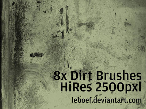 Dirt Brush Set