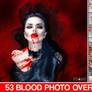 53 TEXTURES Blood In The Snow Photo Overlays