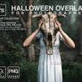 Halloween overlay Photoshop pumpkin texture