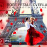 Flower overlays Red Rose Wedding Photoshop