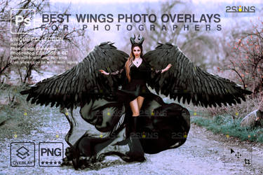 Black digital angel wings overlay Gold White wings