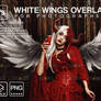 Whit digital angel wings overlay Halloween overlay