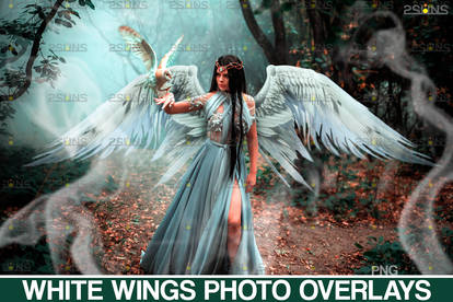 White digital angel wings photoshop overlay