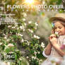 Flower overlay Floral digital backdrop