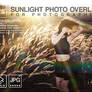 Sunlight overlay Photoshop Lens flare Sunset Sun