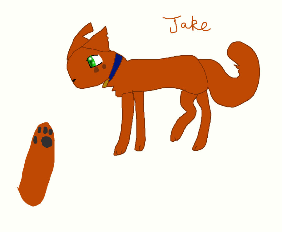 Jake ref by Pugzdraw123 on DeviantArt