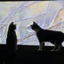Tuxedo cats watching Wildlife TV