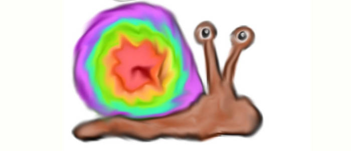 Tye dye snail