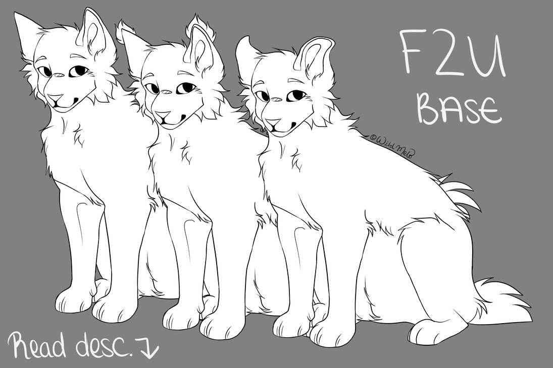 Cat Base || F2U [.psd and .png version] by WildMelo on DeviantArt