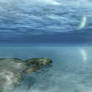 Ocean 1 - Background