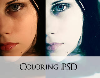 Coloring .PSD 5