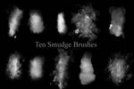 Smudge Brushes