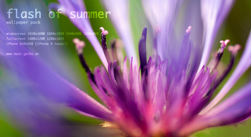 flash of summer wallpaper pack