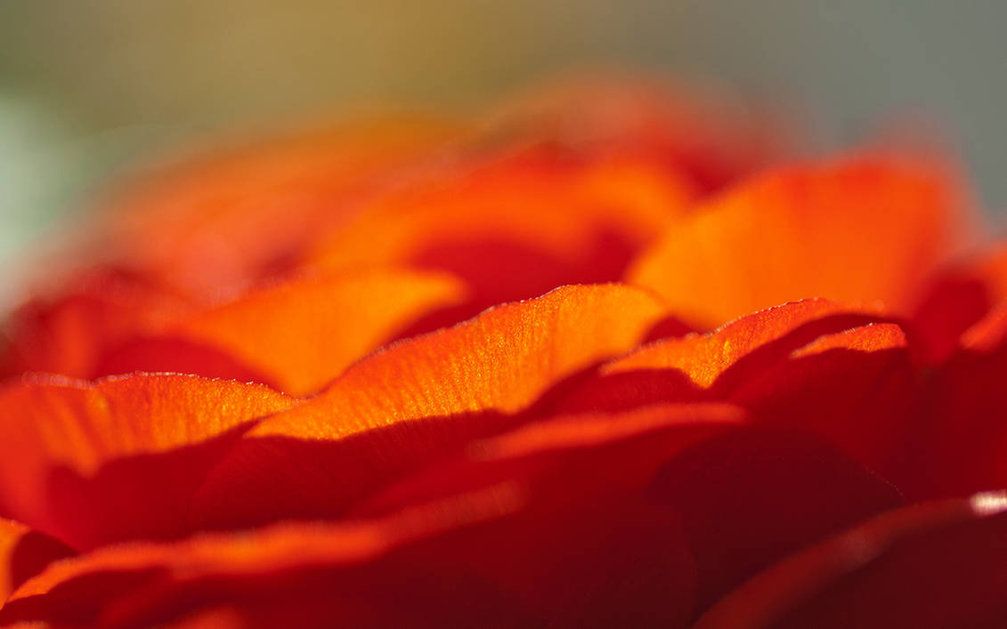 touch of red wallpaper pack by Ythor on DeviantArt