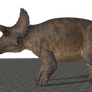 The Isle Triceratops