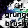 Chl grunge texture brushes