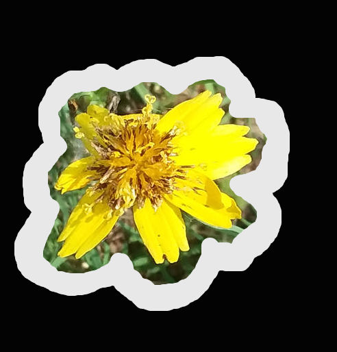 Some Yellow Flower 2 by KBAFourthtime on DeviantArt