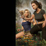 Video (based on TSJ poster image 00)