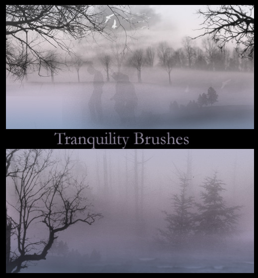 Tranquility Brushes