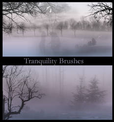 Tranquility Brushes