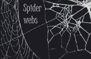 Spider web brushes