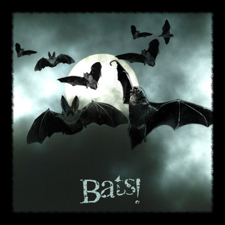 Bats - PS Brushes