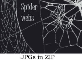 JPGs Spider Webs