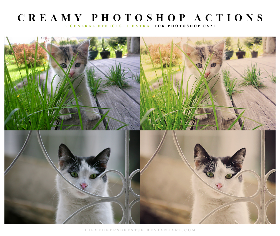 Photoshop Actions