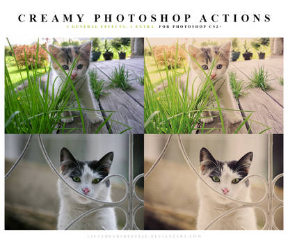 Photoshop Creamy Actions