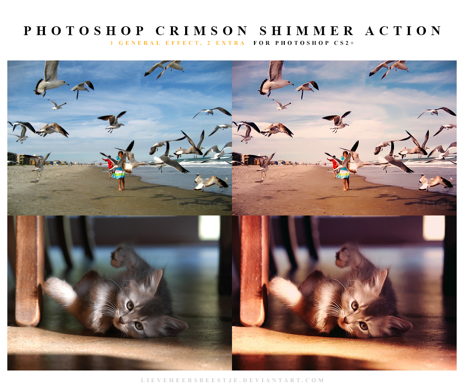 Photoshop Actions