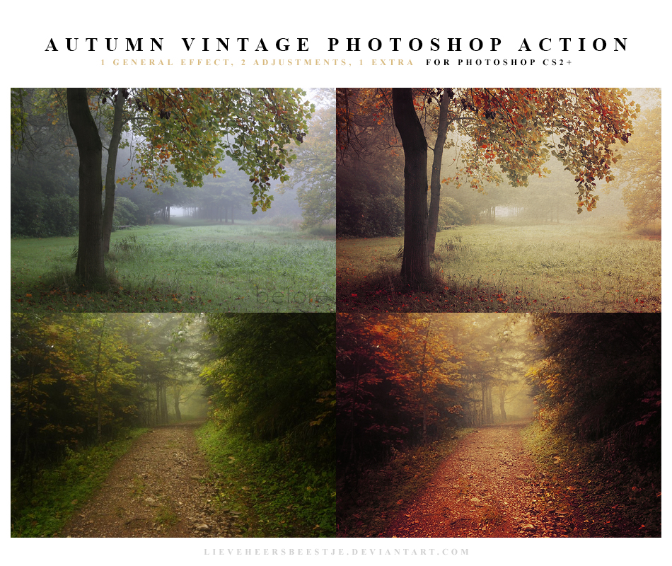 Autumn vintage Photoshop Action
