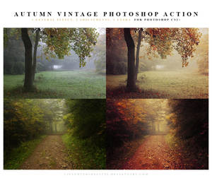 Autumn vintage Photoshop Action