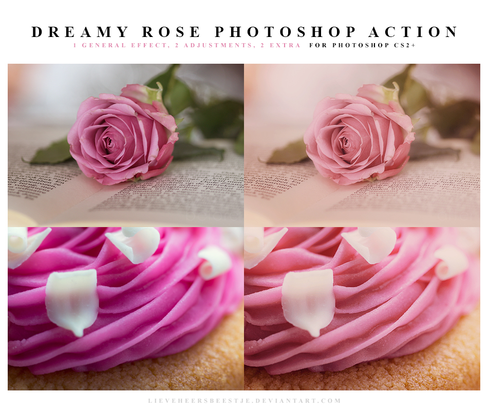 Dreamy rose Photoshop Action