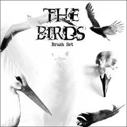 The Birds