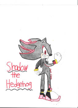 Shadow the Hedgehog : Completed