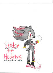 Shadow the Hedgehog : Completed