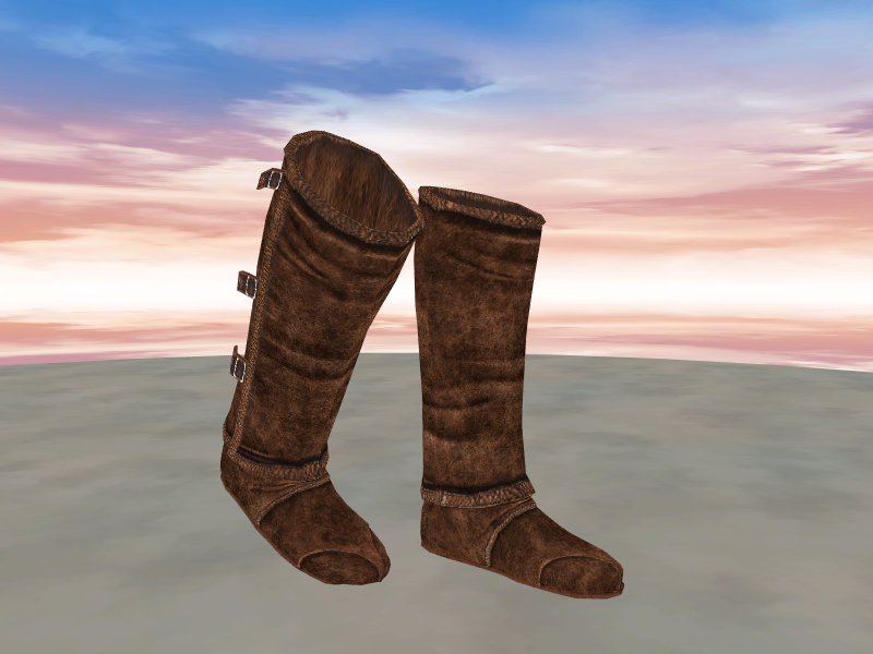 Assassin's Boots