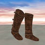 Assassin's Boots