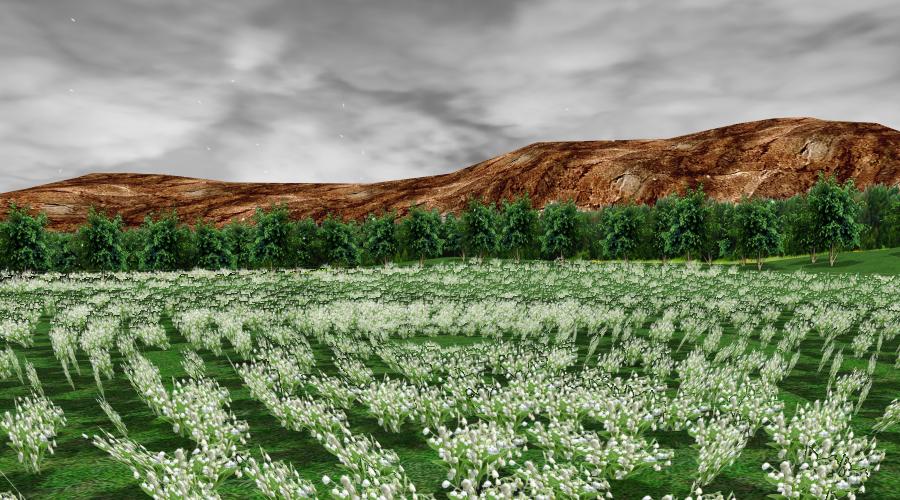 Flower Field DL by Reseliee on DeviantArt