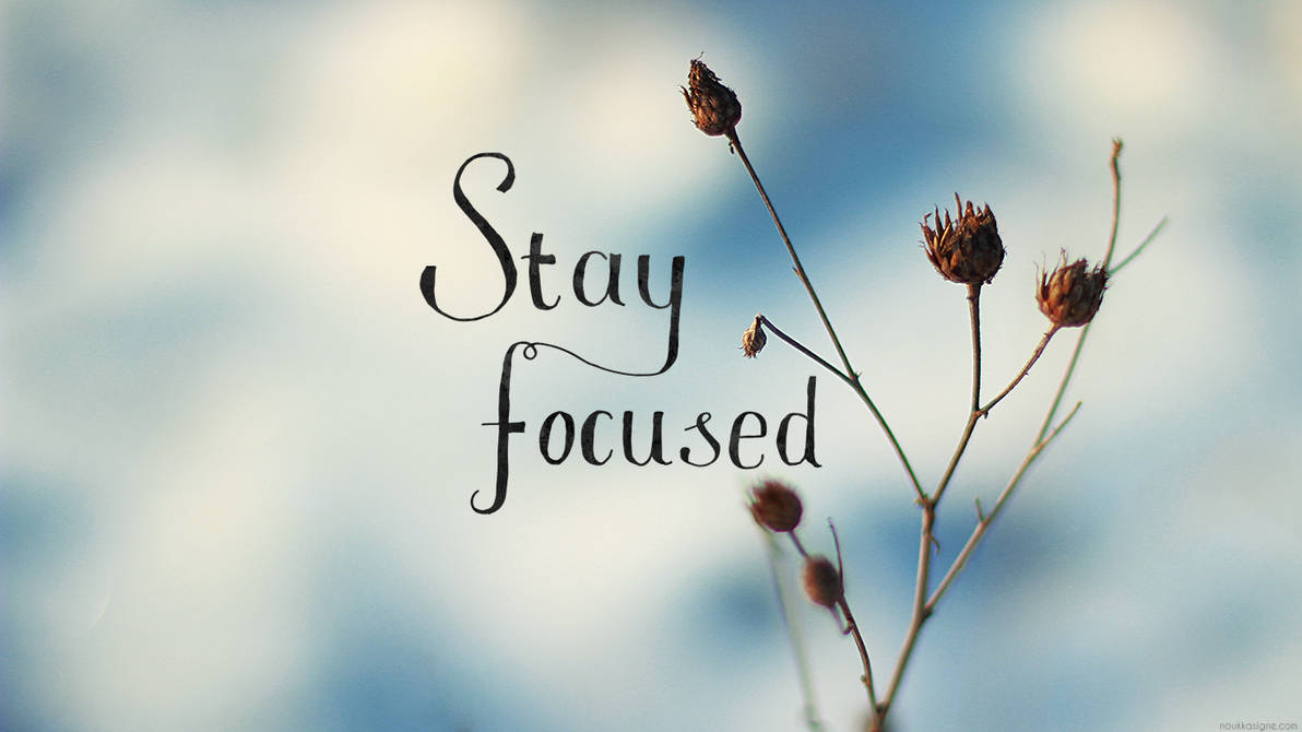 wallpaper stay focused