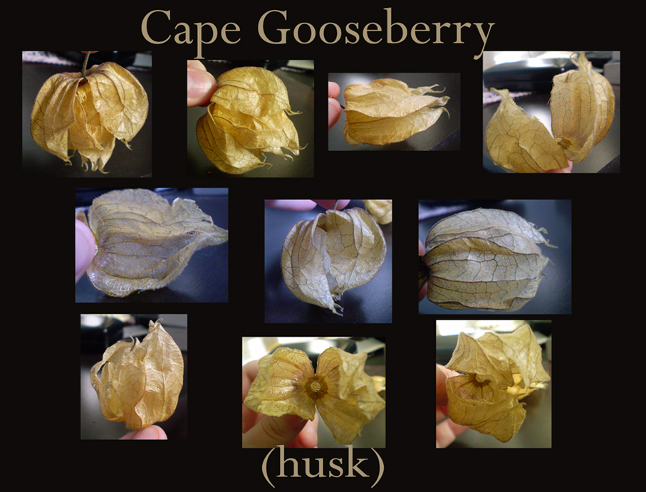Cape Gooseberry's husk